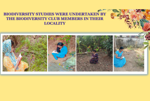 Biodiversity